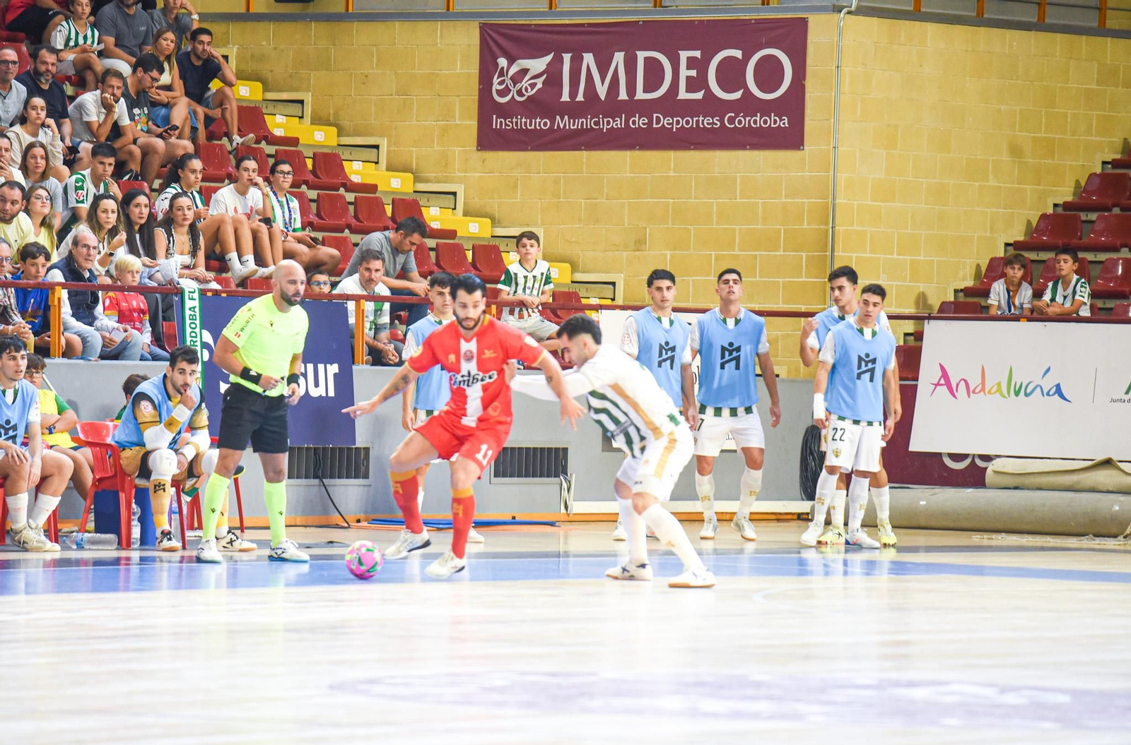 Las mejores fotos del ambiente en Vista Alegre para el Córdoba Futsal - Jimbee Cartagena