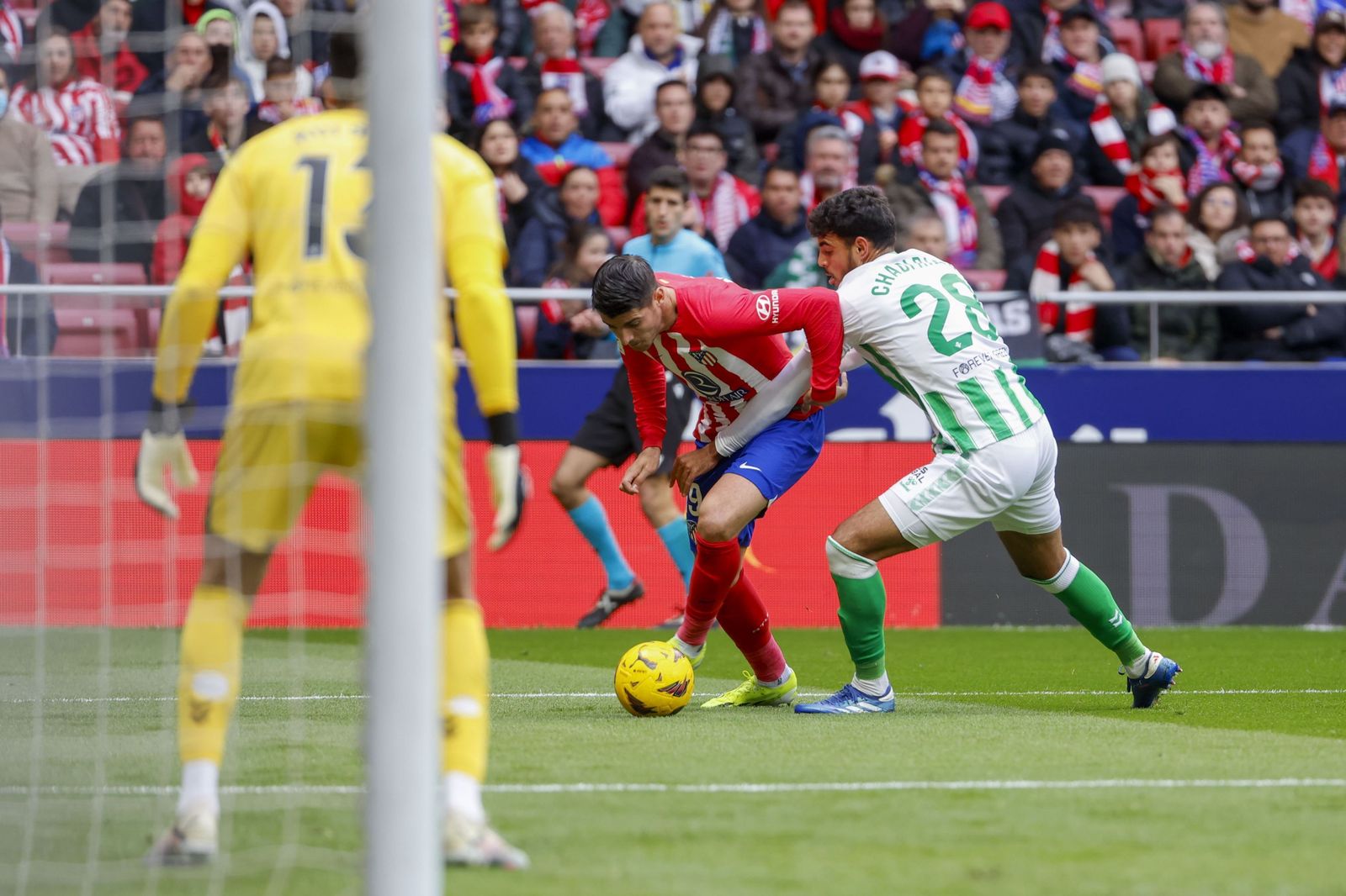 Las fotos del Atlético de Madrid - Betis
