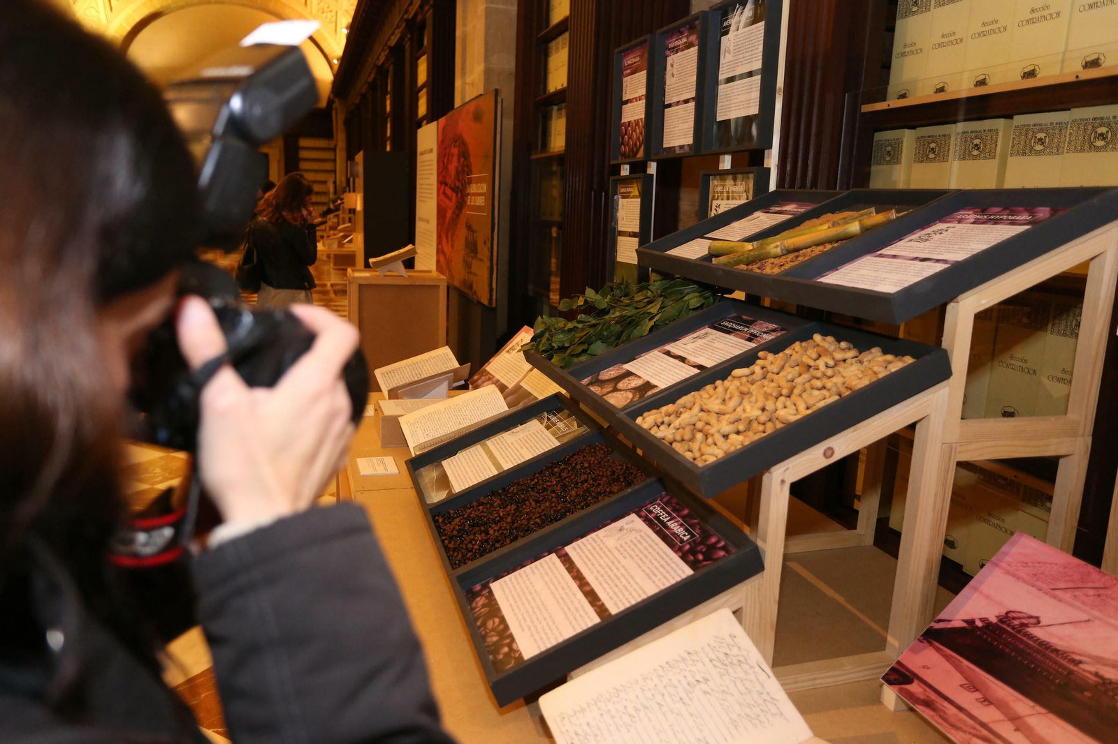 La exposición 'Sabores que cruzaron océanos' muestra alimentos frescos procedentes de América y Asia.