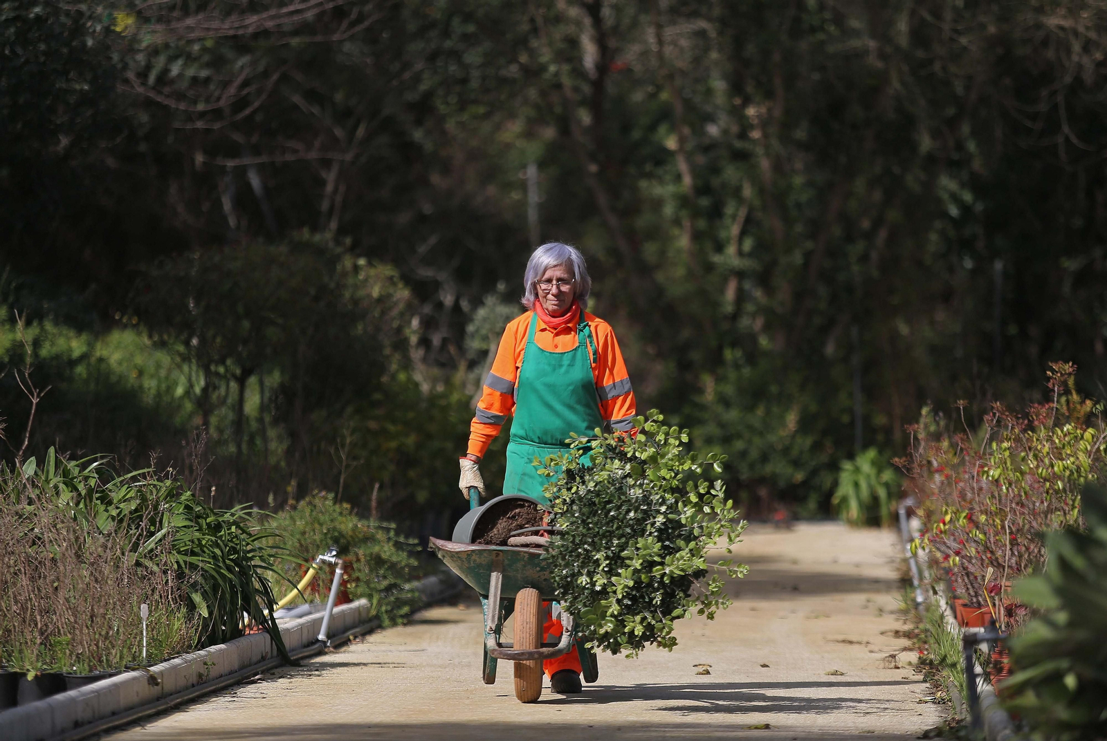 Fotos del vivero municipal de Algeciras