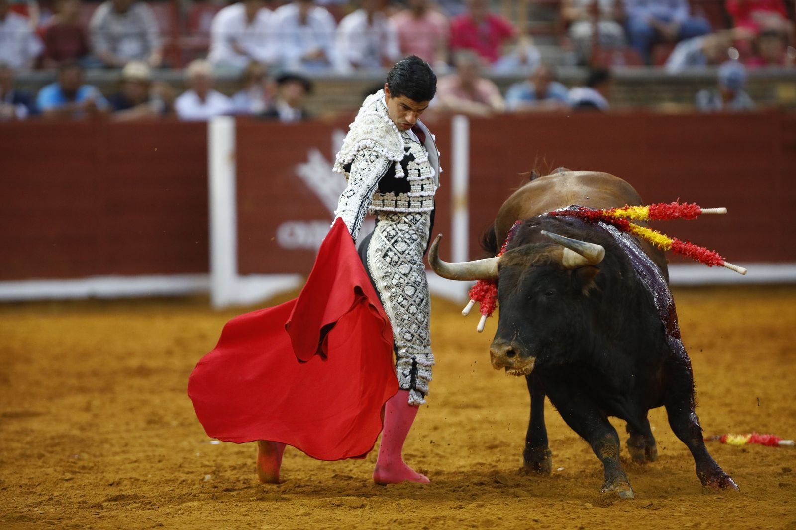 La corrida mixta de Diego Ventura, Morante de la Puebla y Pablo Aguado en Córdoba, en imágenes