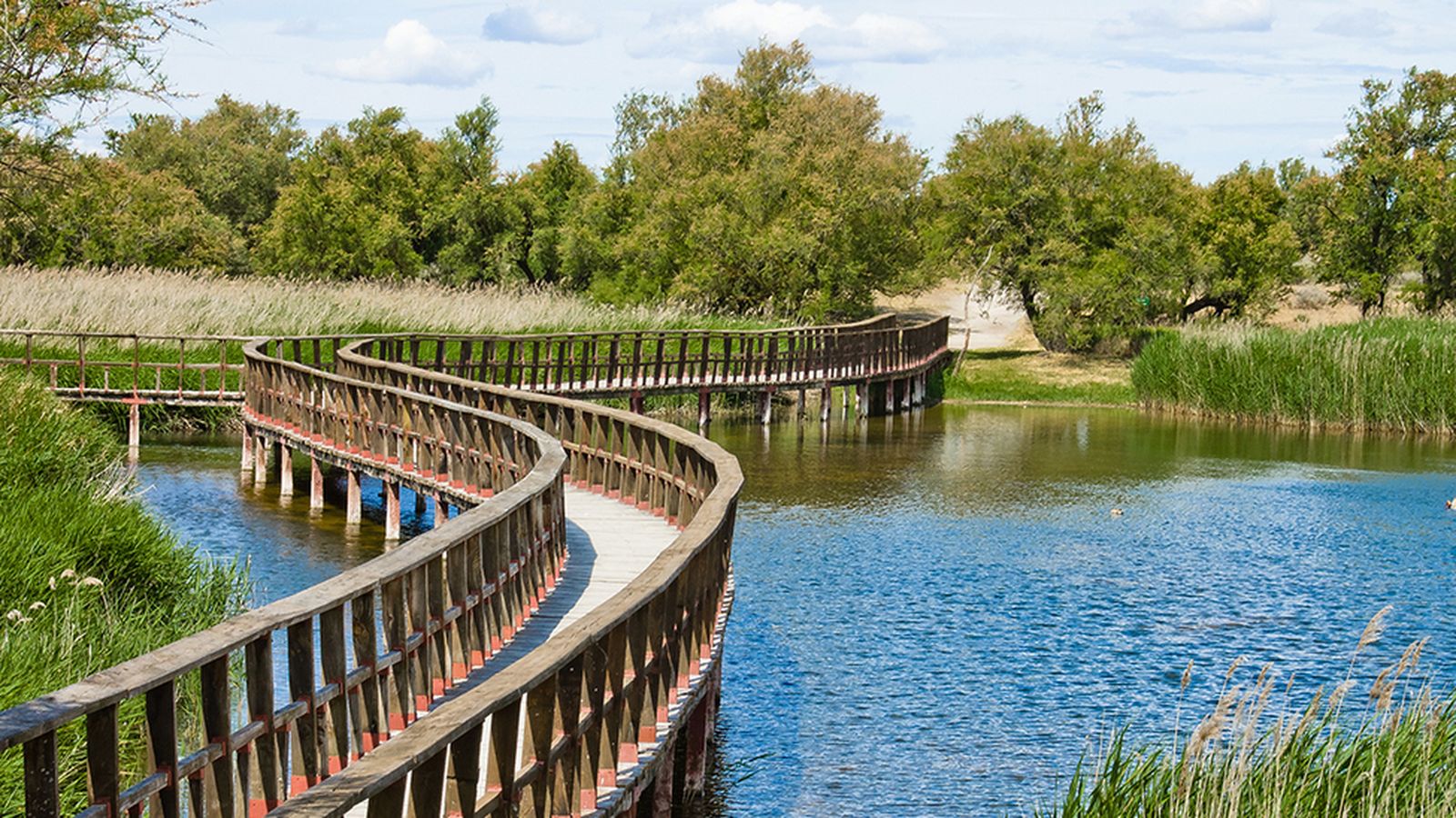 Una estampa del Parque Nacional Tablas de Daimiel.