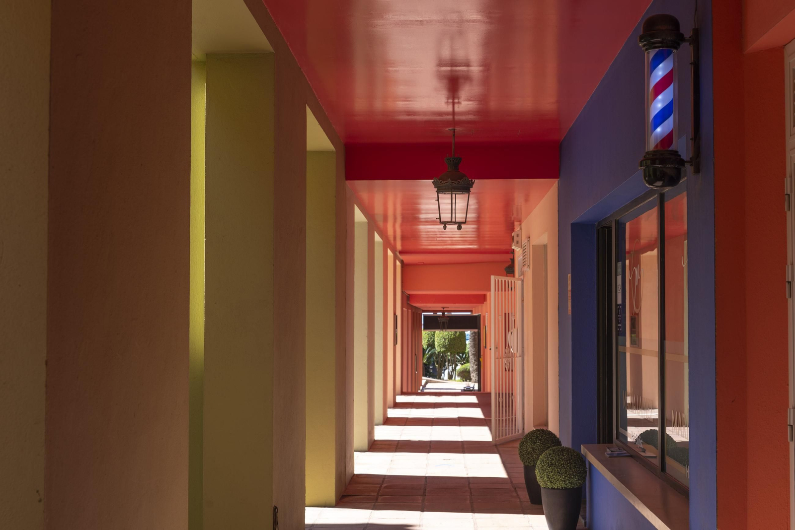 Fotos de una mañana de primavera en Sotogrande