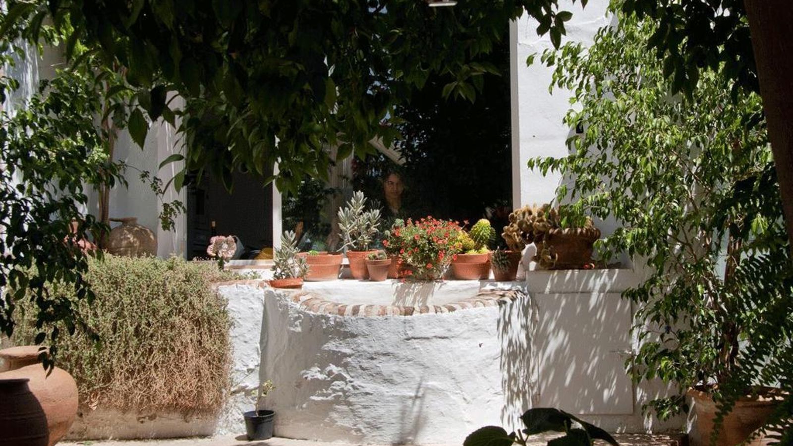 Centro de Arte Harina de Otro Costal