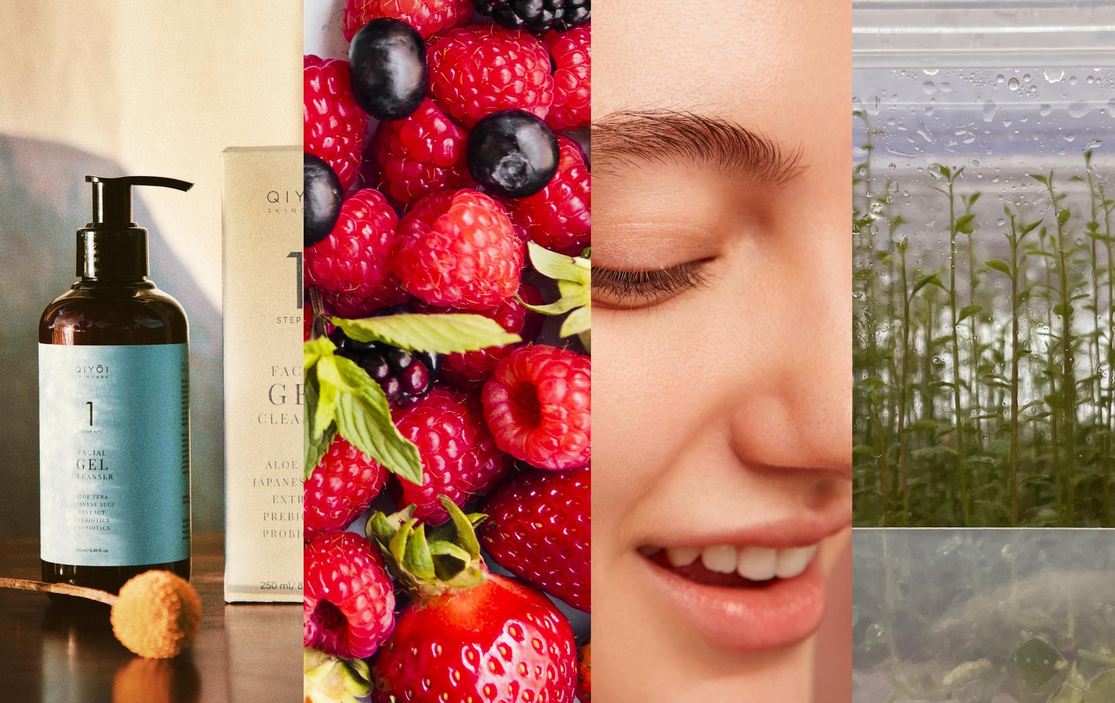 Hitplant, un referente en la producción de alta calidad