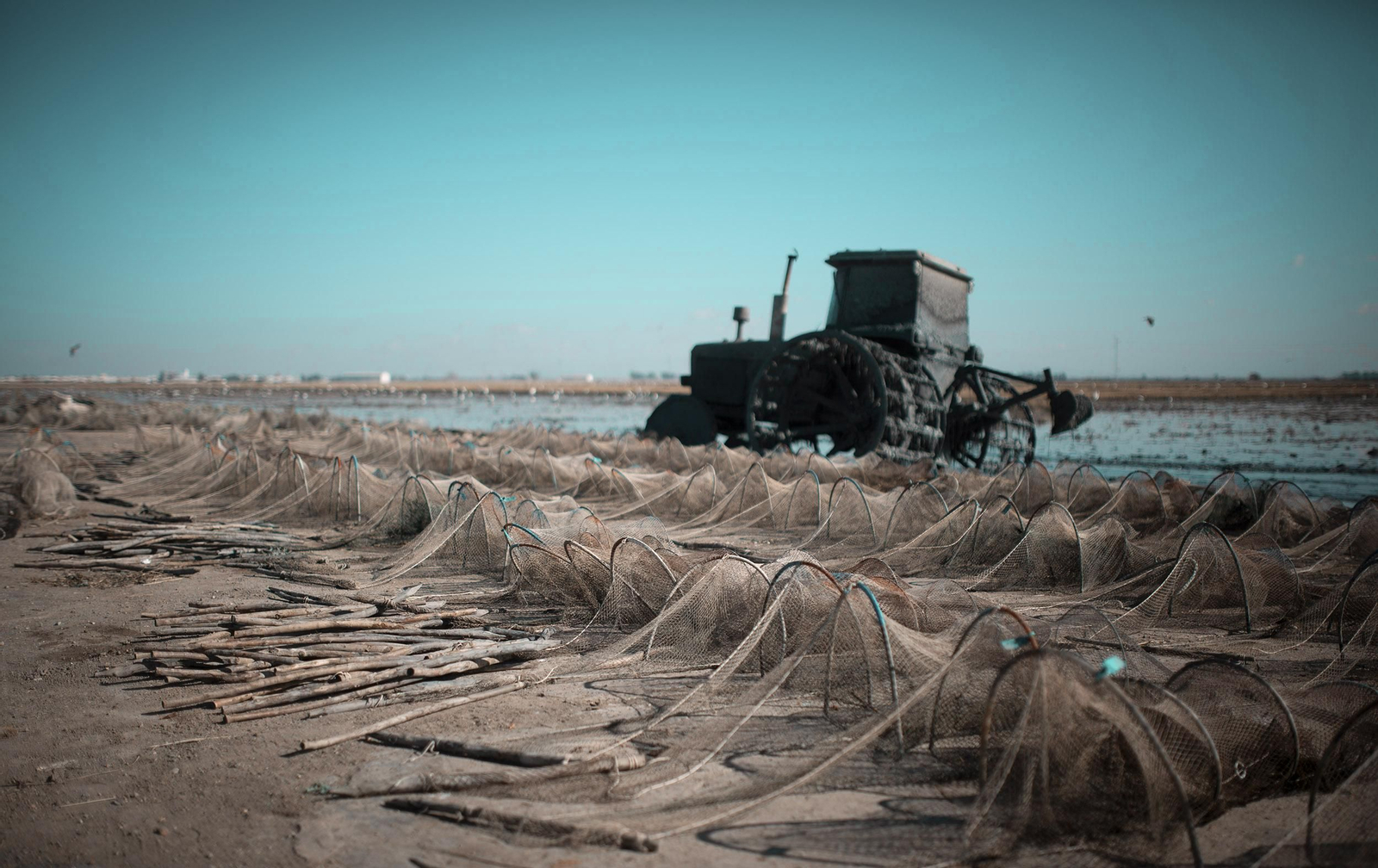 La ruta del arroz, en imágenes