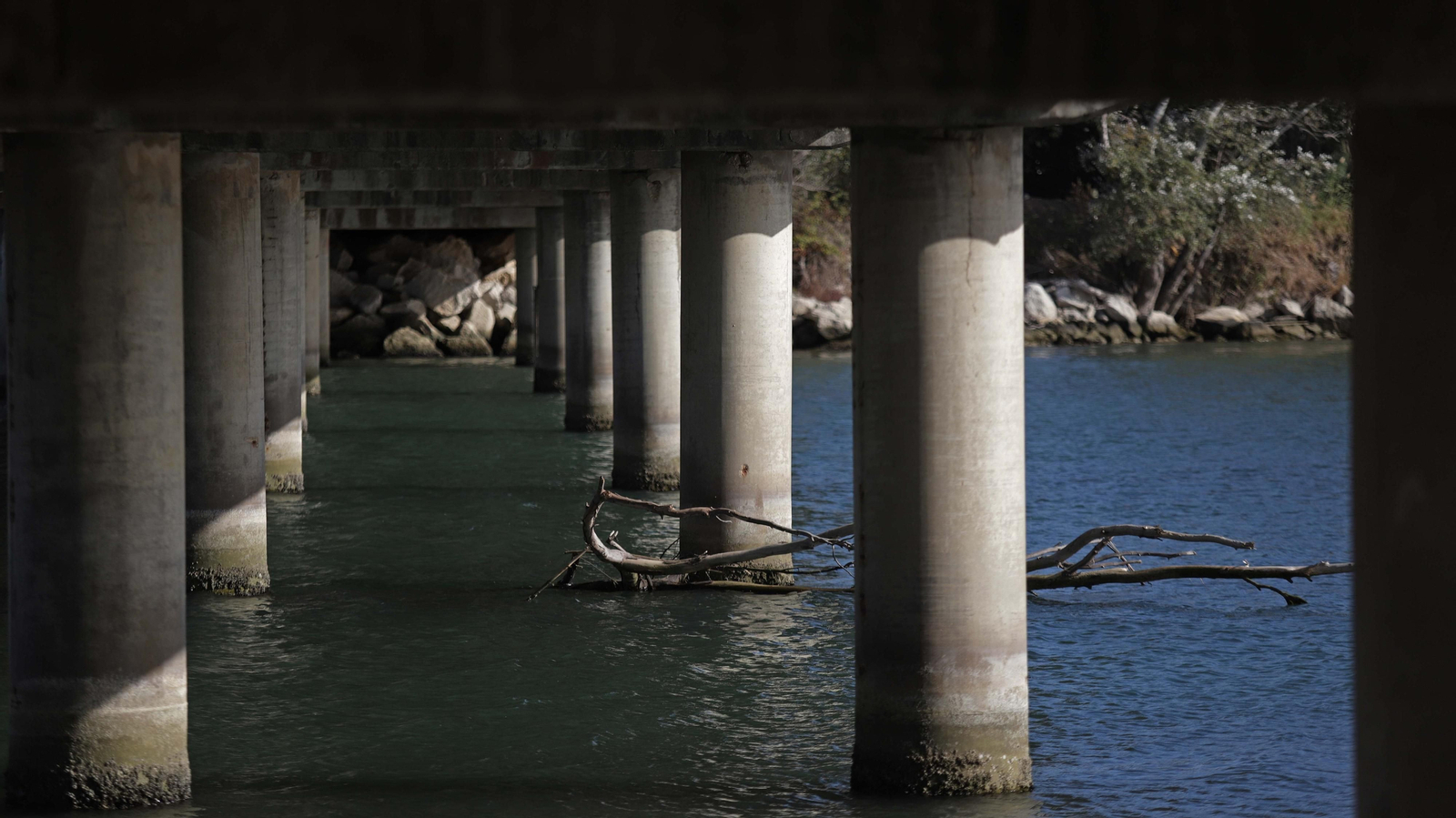 Fotos del estuario del río Guadiaro en San Roque