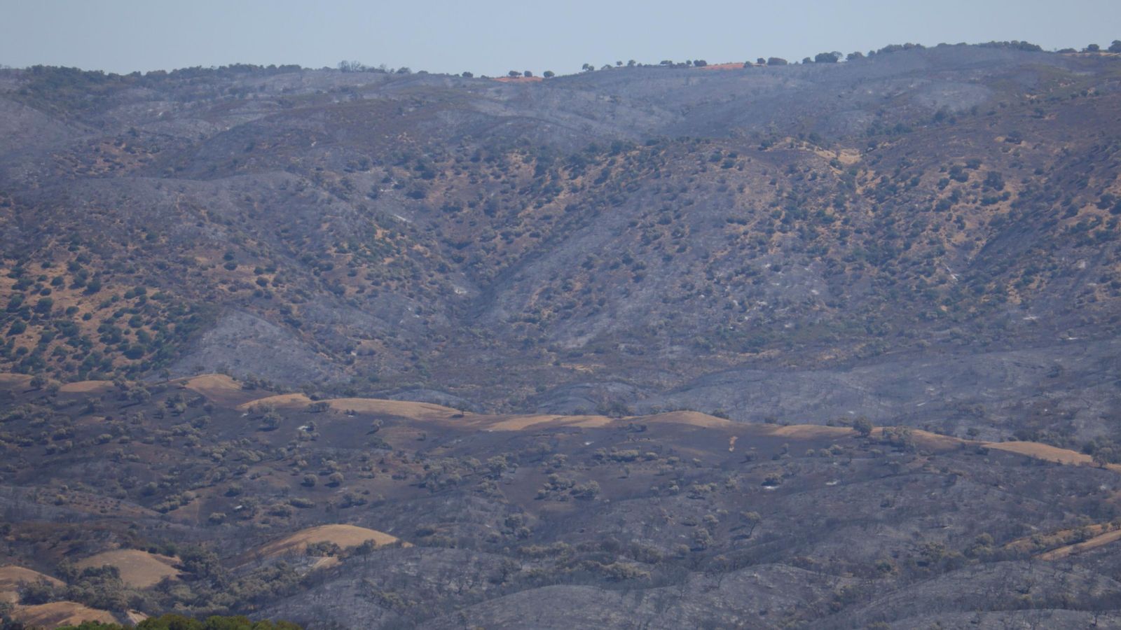 Terrenos quemados en el incendio de Cerro Muriano.