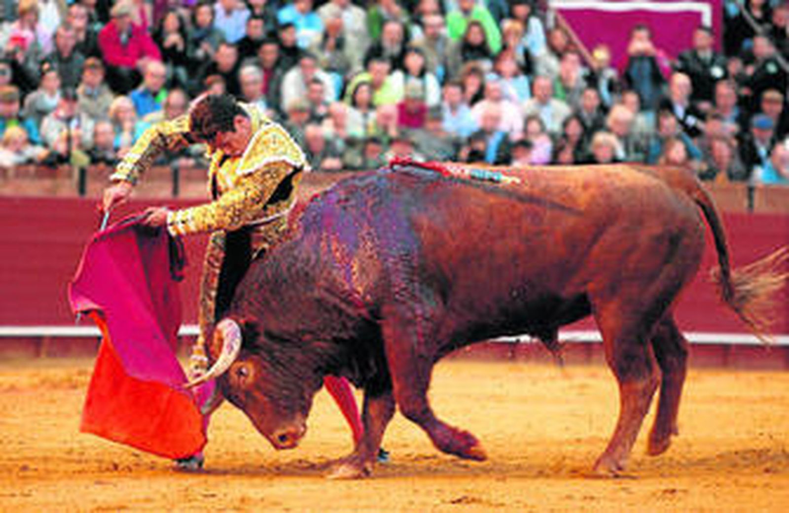 José María Manzanares, en un expresivo ayudado a media altura, en el cierre de su bellísima faena al sexto toro.