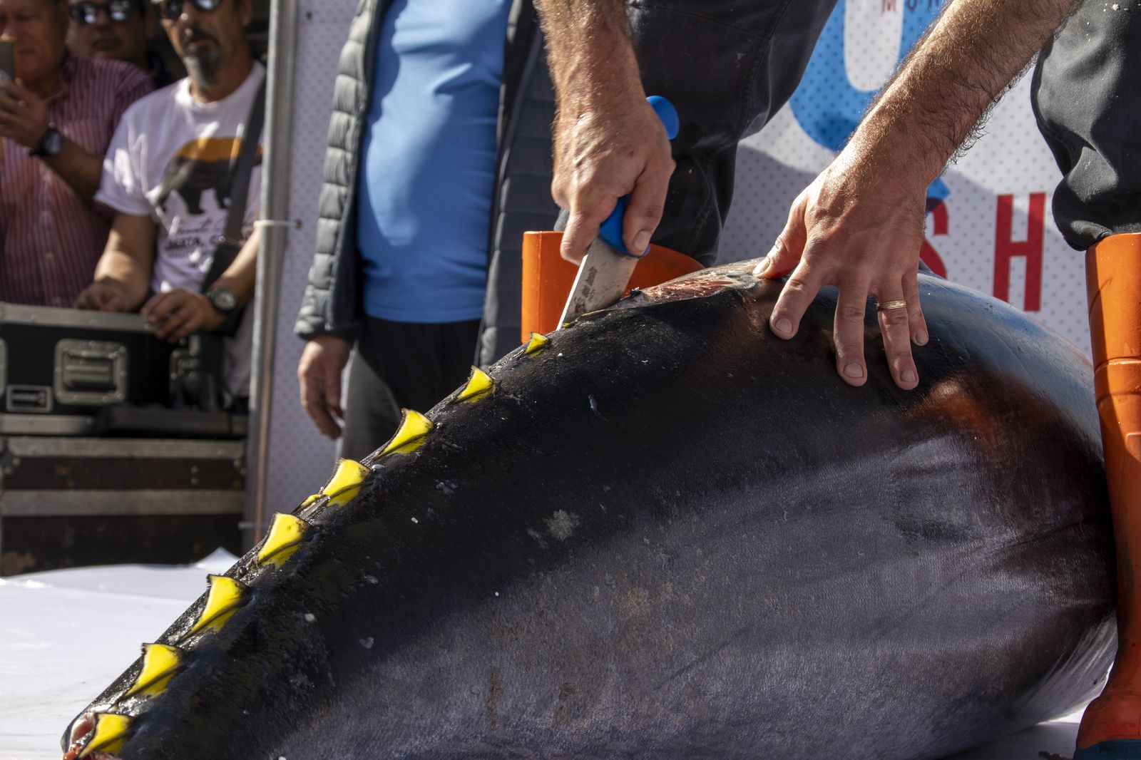 Muestra del Atún en Huelva