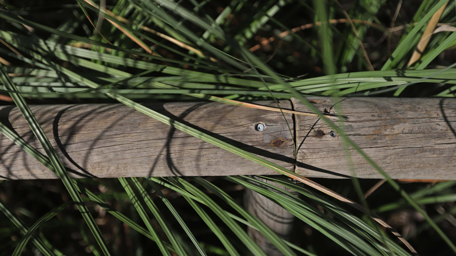 Fotos del estuario del río Guadiaro en San Roque
