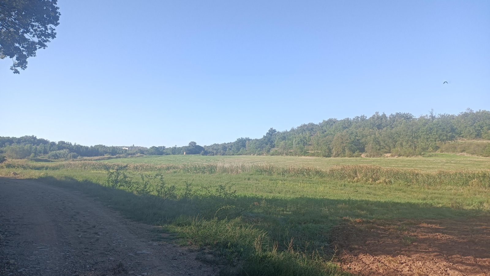 Tras bajar a la carretera de Secastilla, nos desviamos por otro carril.