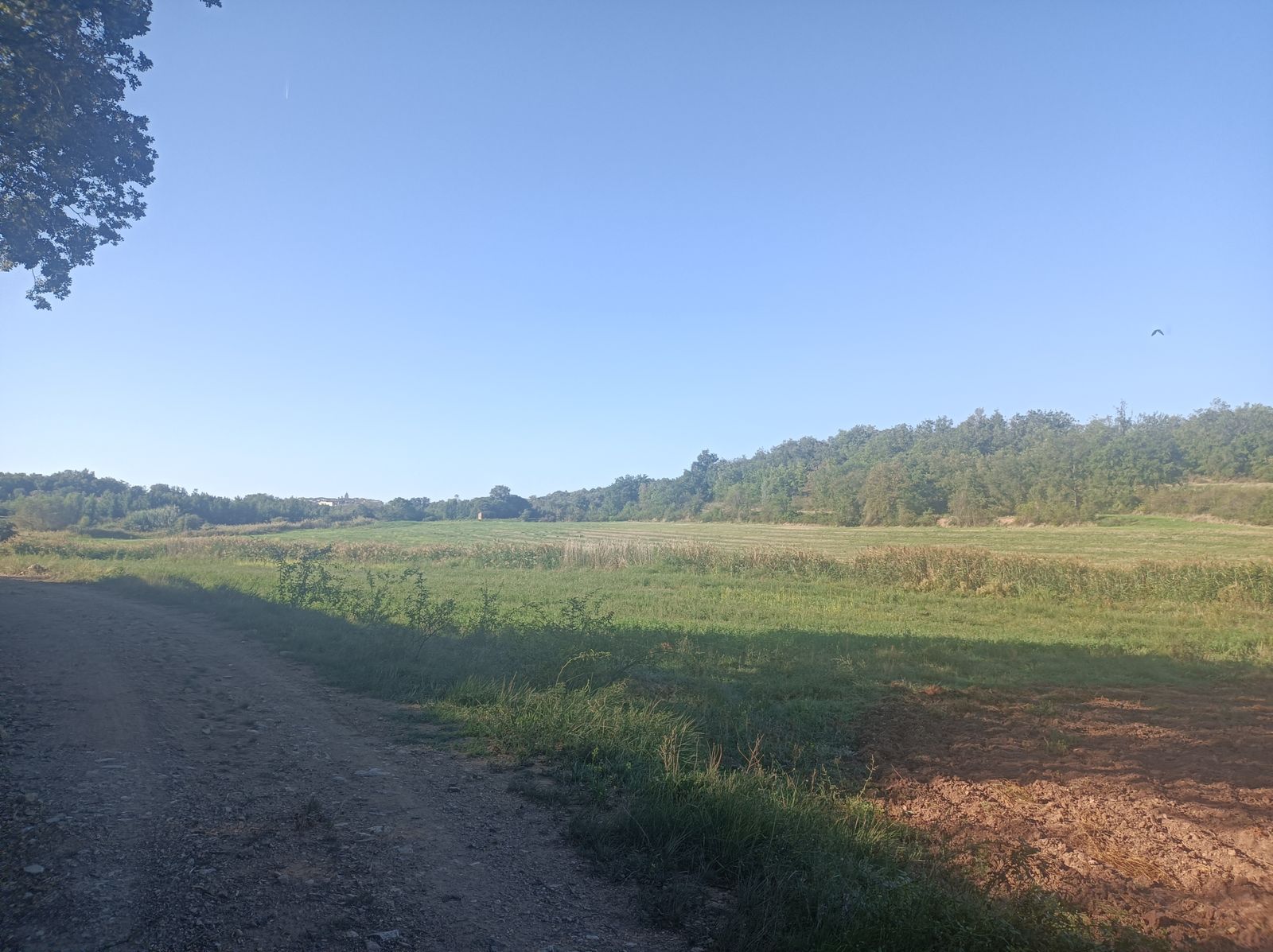 Tras bajar a la carretera de Secastilla, nos desviamos por otro carril.