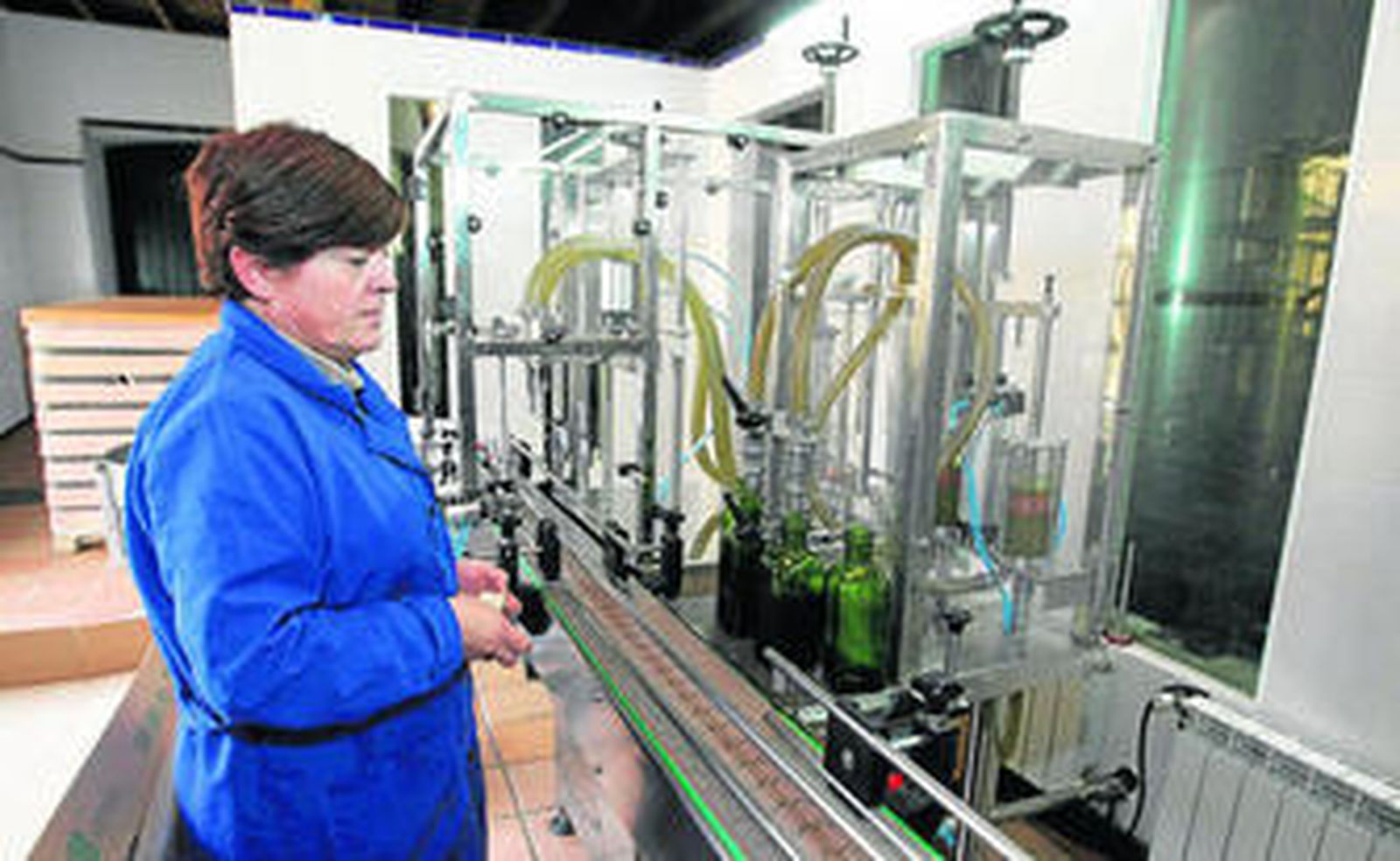 Una operaria de Rafael Alonso Aguilera SL envasa su aceite de oliva virgen extra ecológico Oro del Desierto.