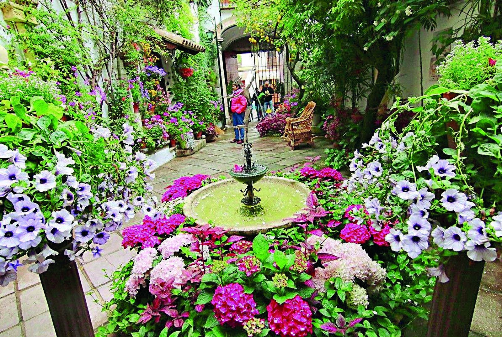 Ruta Santiago-San Pedro: La Palma, 3