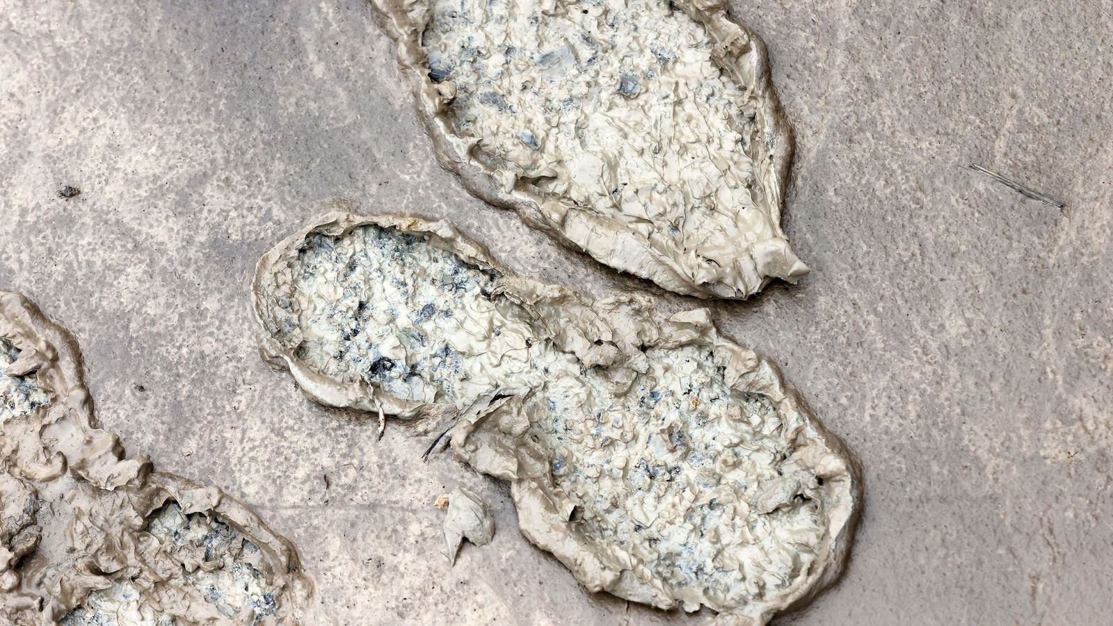 Marcas de pisadas en el lodo acumulado junto a la Venta La Cartuja de Jerez.