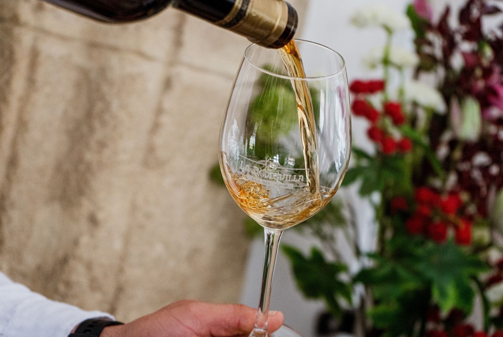 Una cata maridaje con diferentes preparaciones y cortes de atún