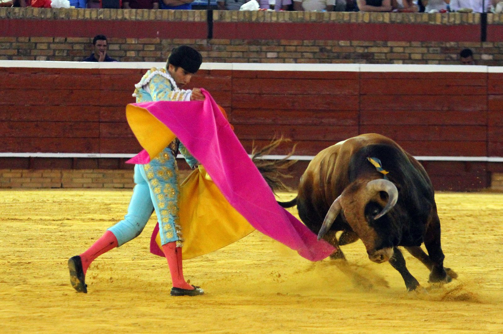 Imágenes de la Novillada de Rafael Serna, Emilio Silvera y Rodrigo Molina.