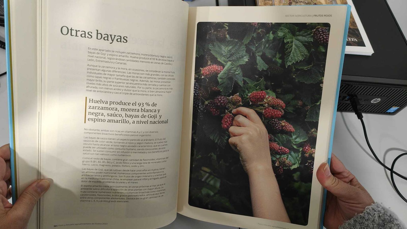 Interior del Anuario Alimental.