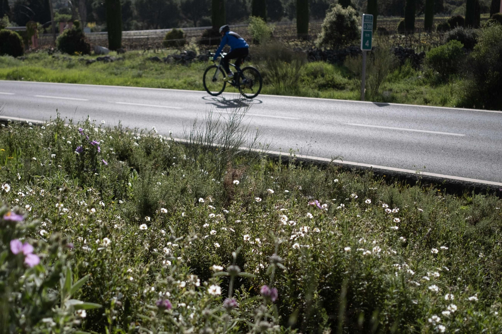 Primavera en la Serranía de Ronda, en imágenes.