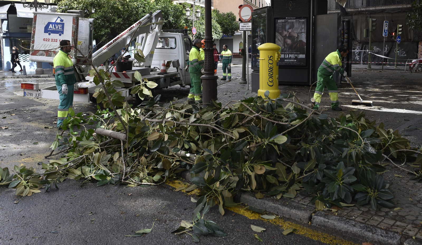Las imágenes del temporal en Sevilla