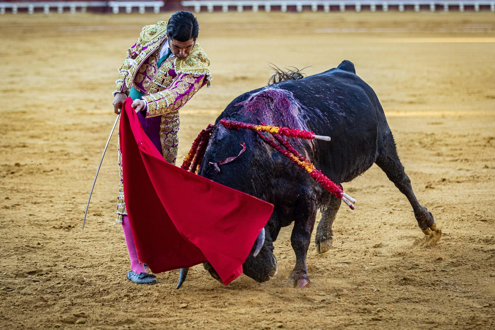 toros morente manzanares aguado puerto santa maria 48.jpg