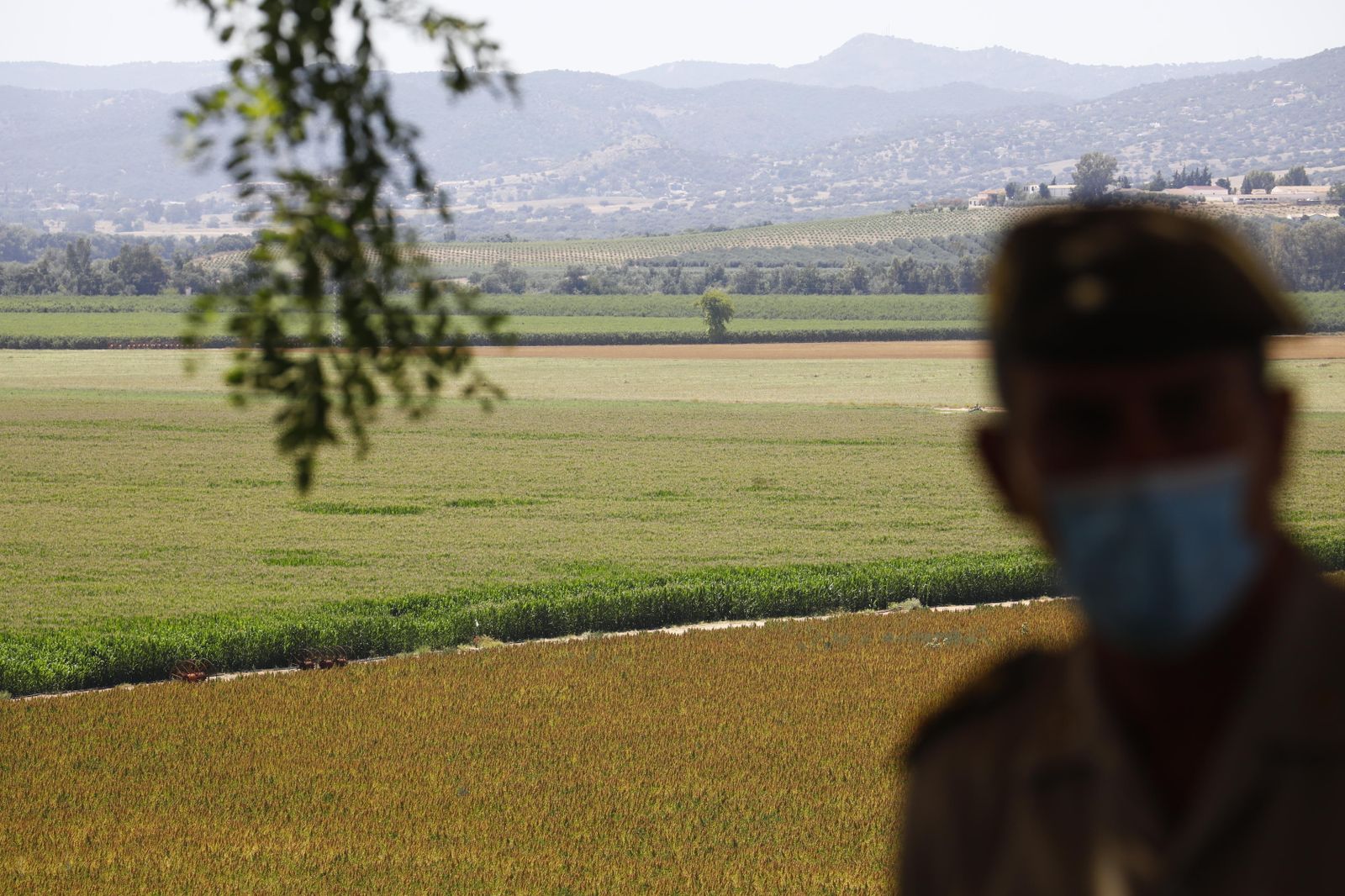 La visita de la ministra de Defensa a Córdoba para conocer la base logística del Ejército, en fotografías