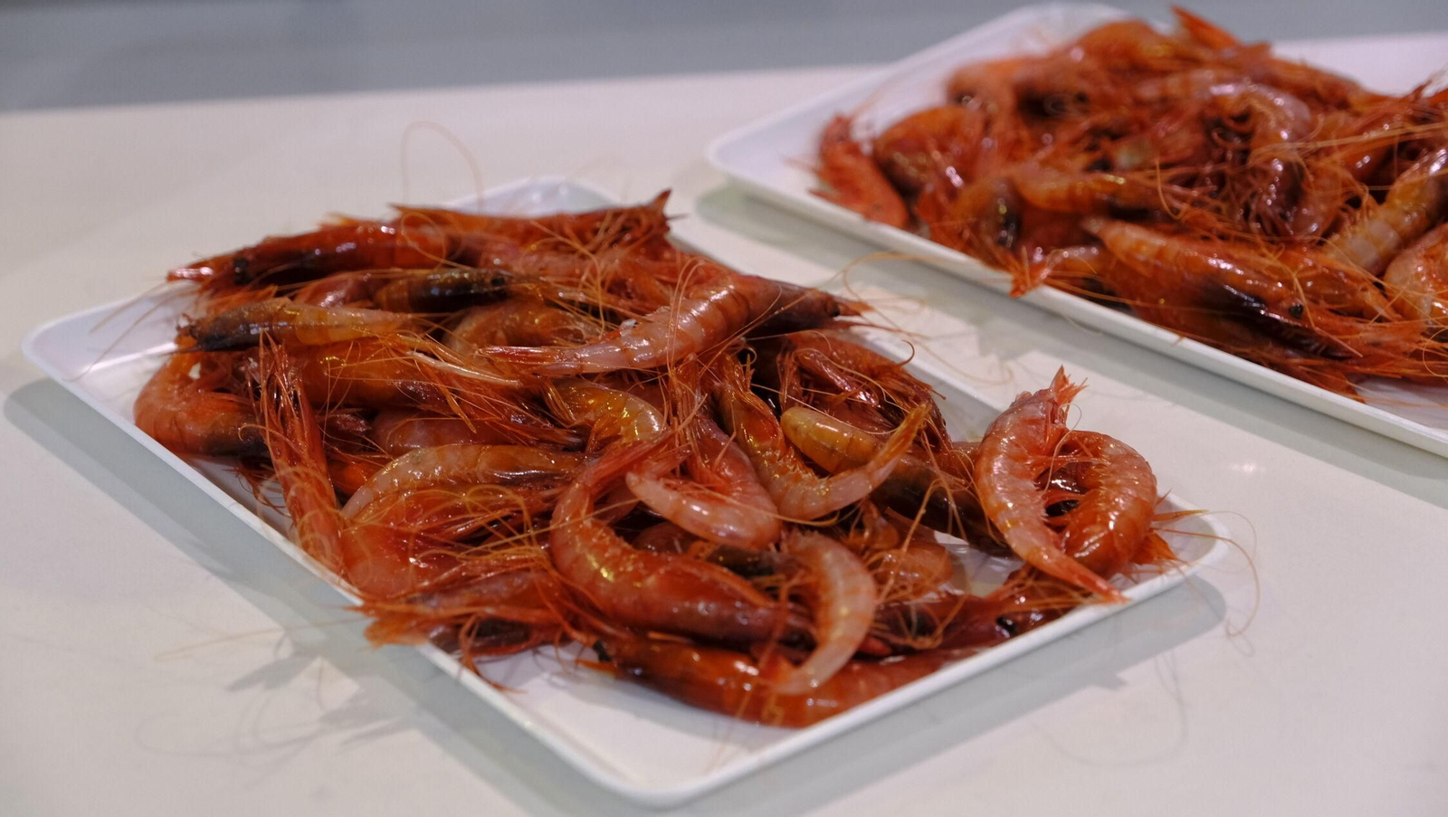 Vea los exquisitos platos preparados en el 'showcooking' de la Gamba Roja de Almería Vea los exquisitos platos preparados en el 'showcooking' de la Gamba Roja de Almería