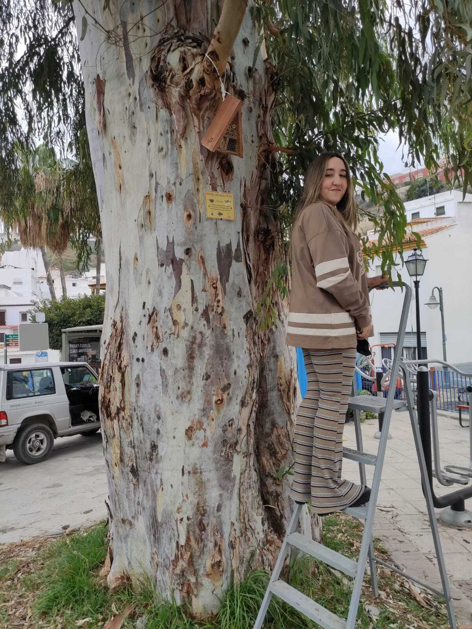 Crean unos "hoteles"  especiales para insectos en la Costa de Granada
