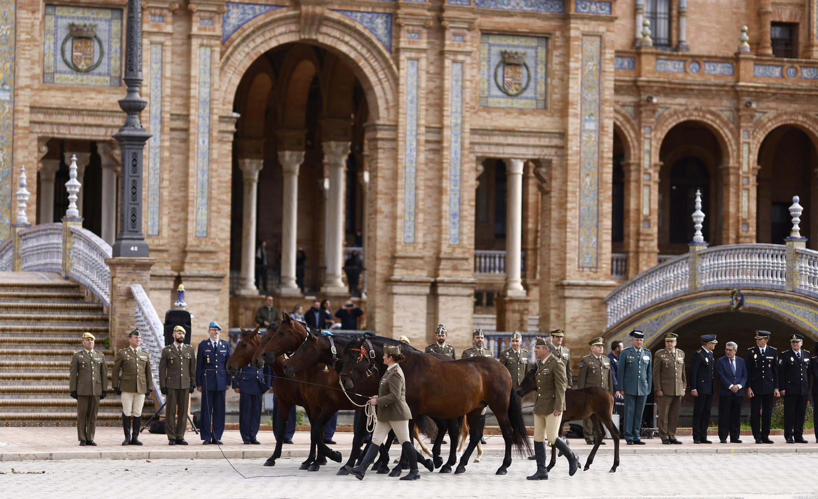 La bendición de  animales de la Policía Nacional con motivo de San Antón, en imágenes