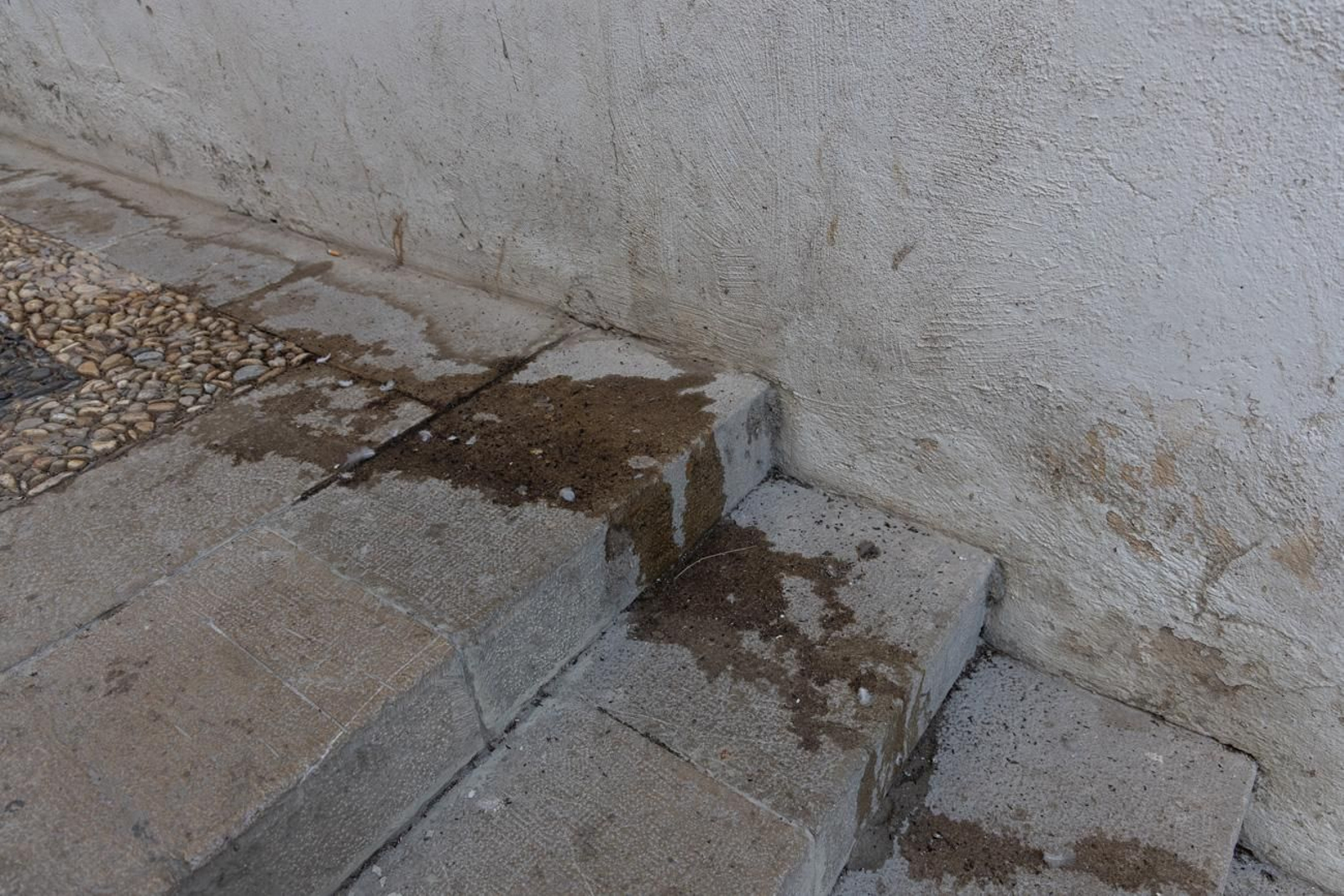 Suciedad y hierbajos toman el entorno de la Catedral de Jaén