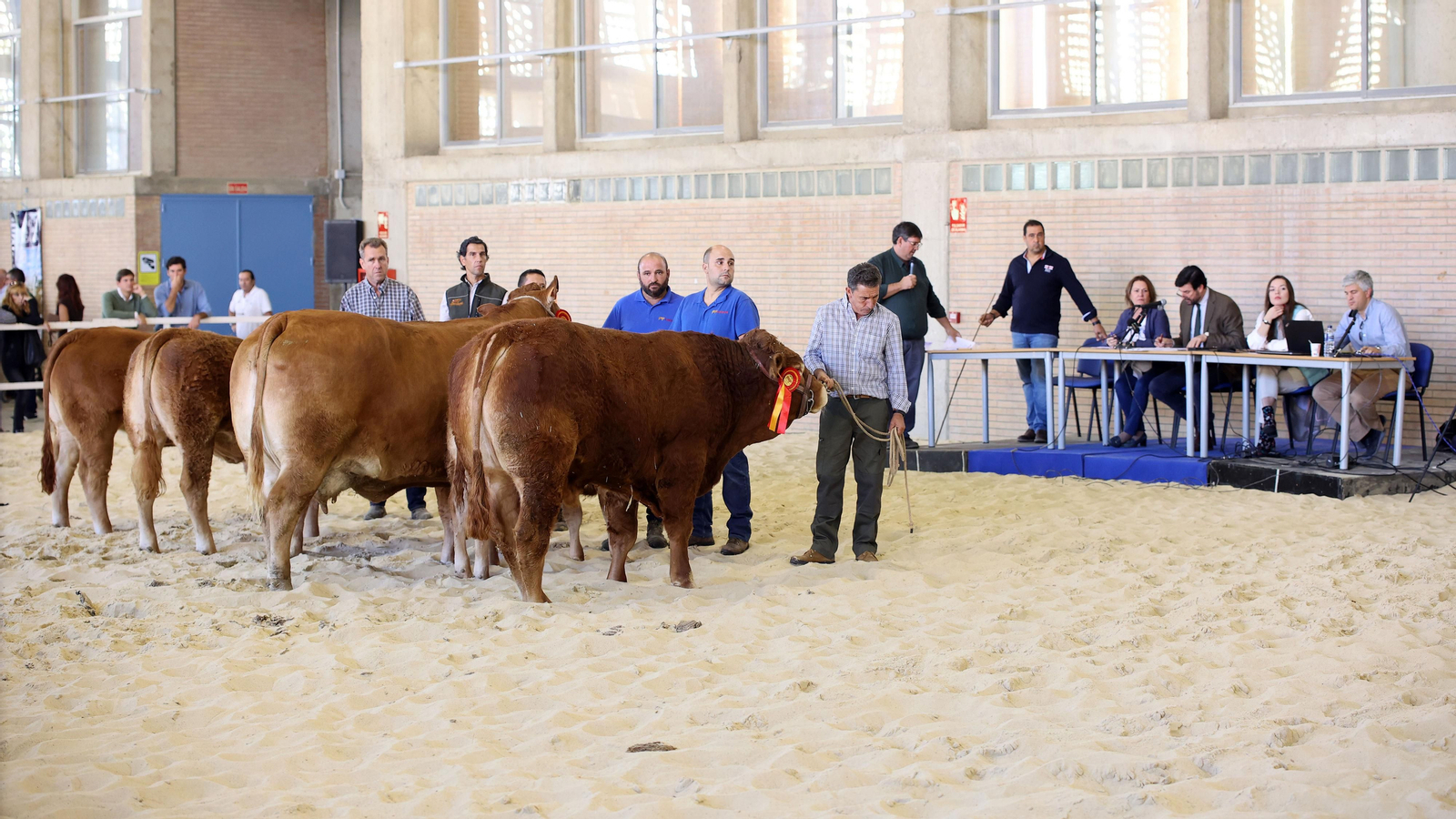 Gran afluencia de público en la clausura de Fegasur