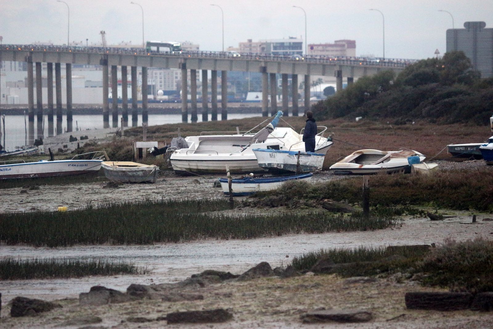 Isla del Trocadero de Puerto Real (2)