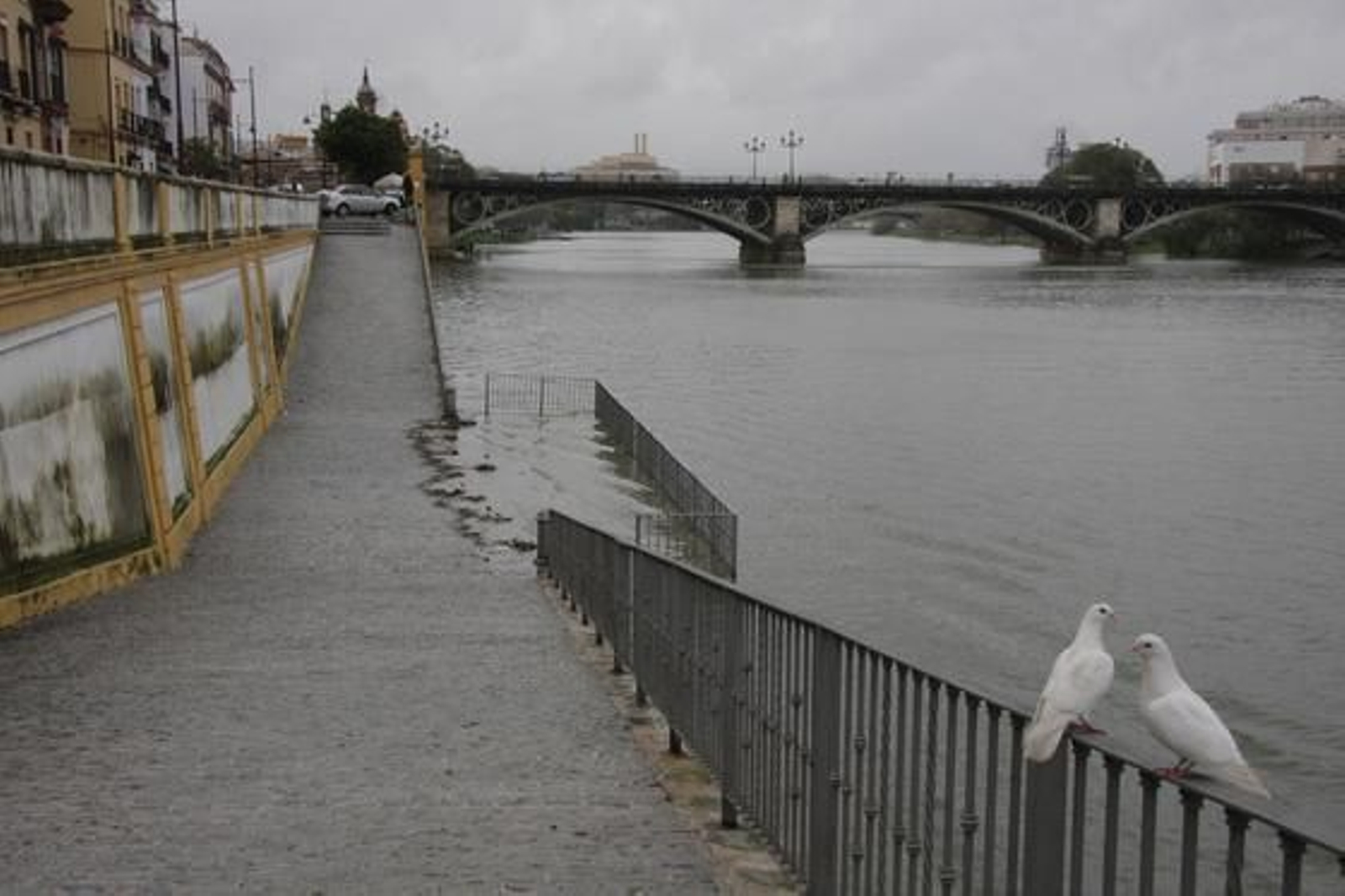 El agua del Guadalquivir cubre las zonas más bajas del embarcadero de la calle Betis en Triana.

Foto: B.Vargas