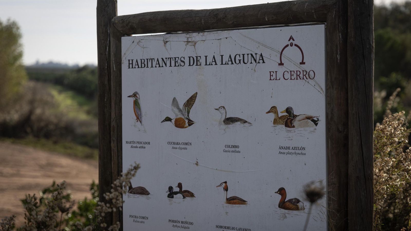 Cartel con algunas de las especies que habitan en la laguna