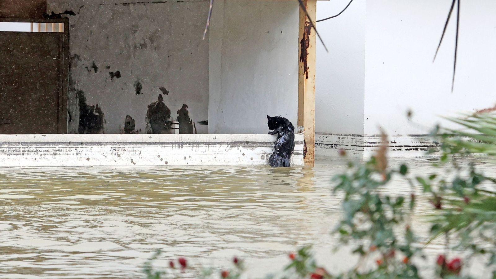 Imágenes del paseo rural por Jerez en el estreno de la borrasca Marta