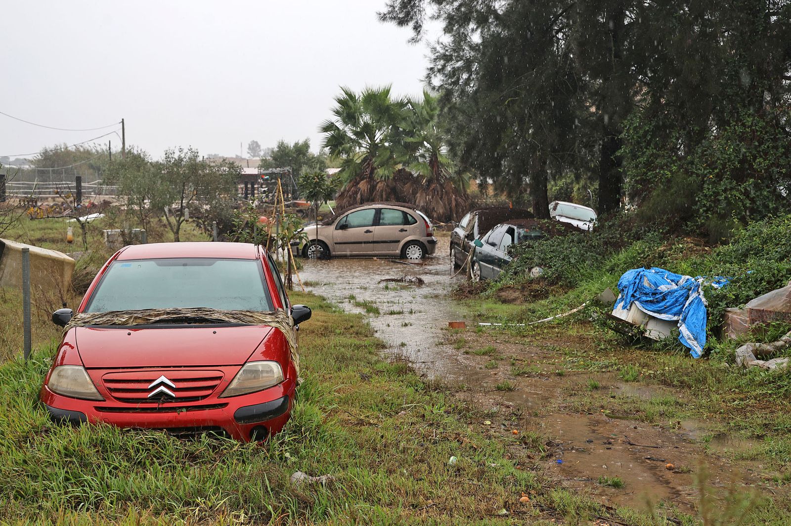 Las mejores imágenes del viernes 1 de noviembre en Huelva