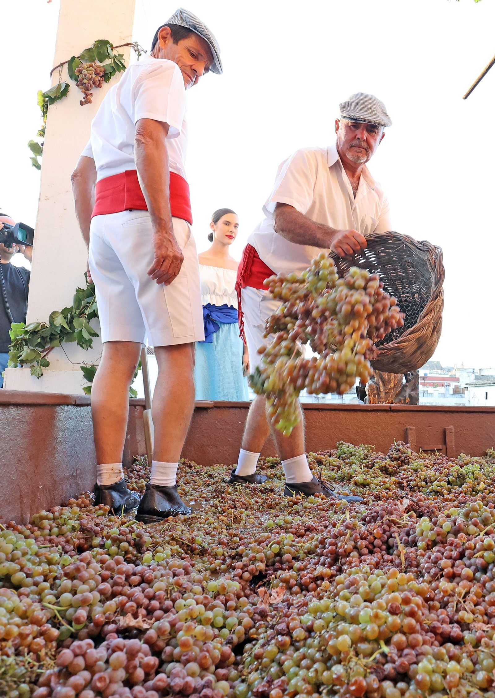 Tradicional Pisa de la Uva en la Catedral de Jerez 2023