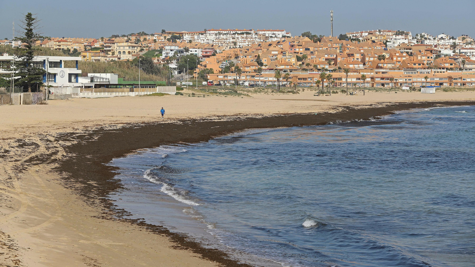 El alga invasora cubre la orilla de playa Getares