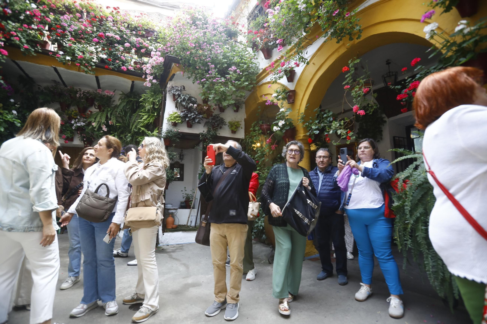 Colas e ilusión en el primer sábado de los Patios de Córdoba, en imágenes