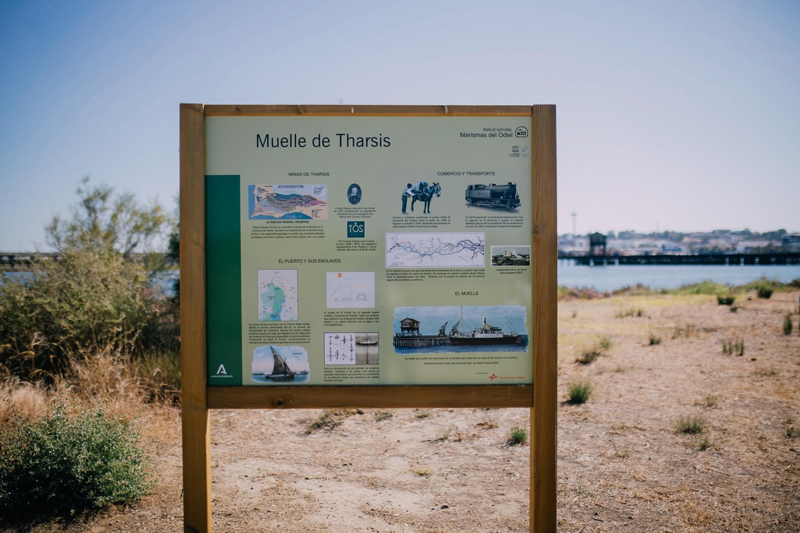 Un recorrido fotográfico por el Paraje Natural Marismas del Odiel