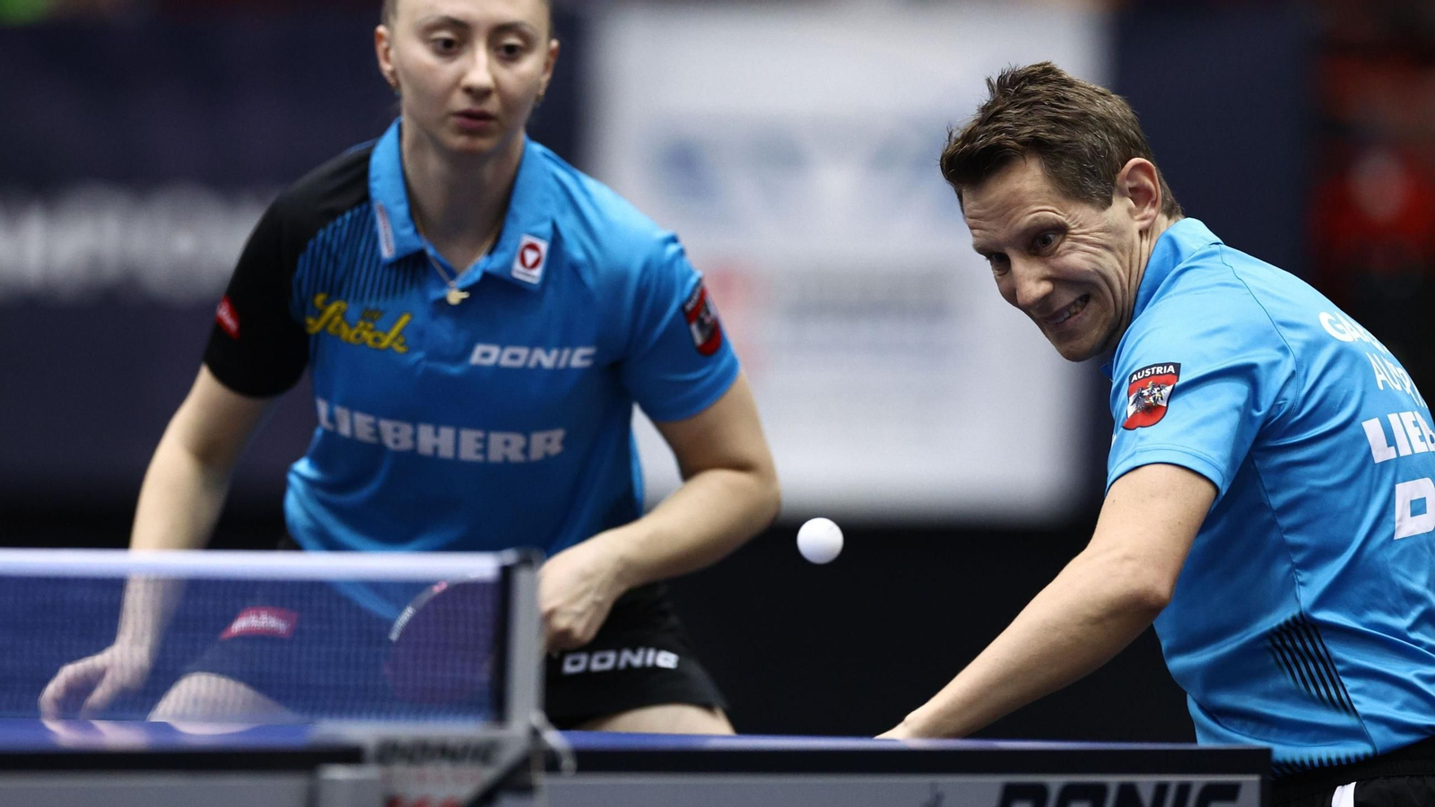 Robert Gardos, en un campeonato internacional con Austria.