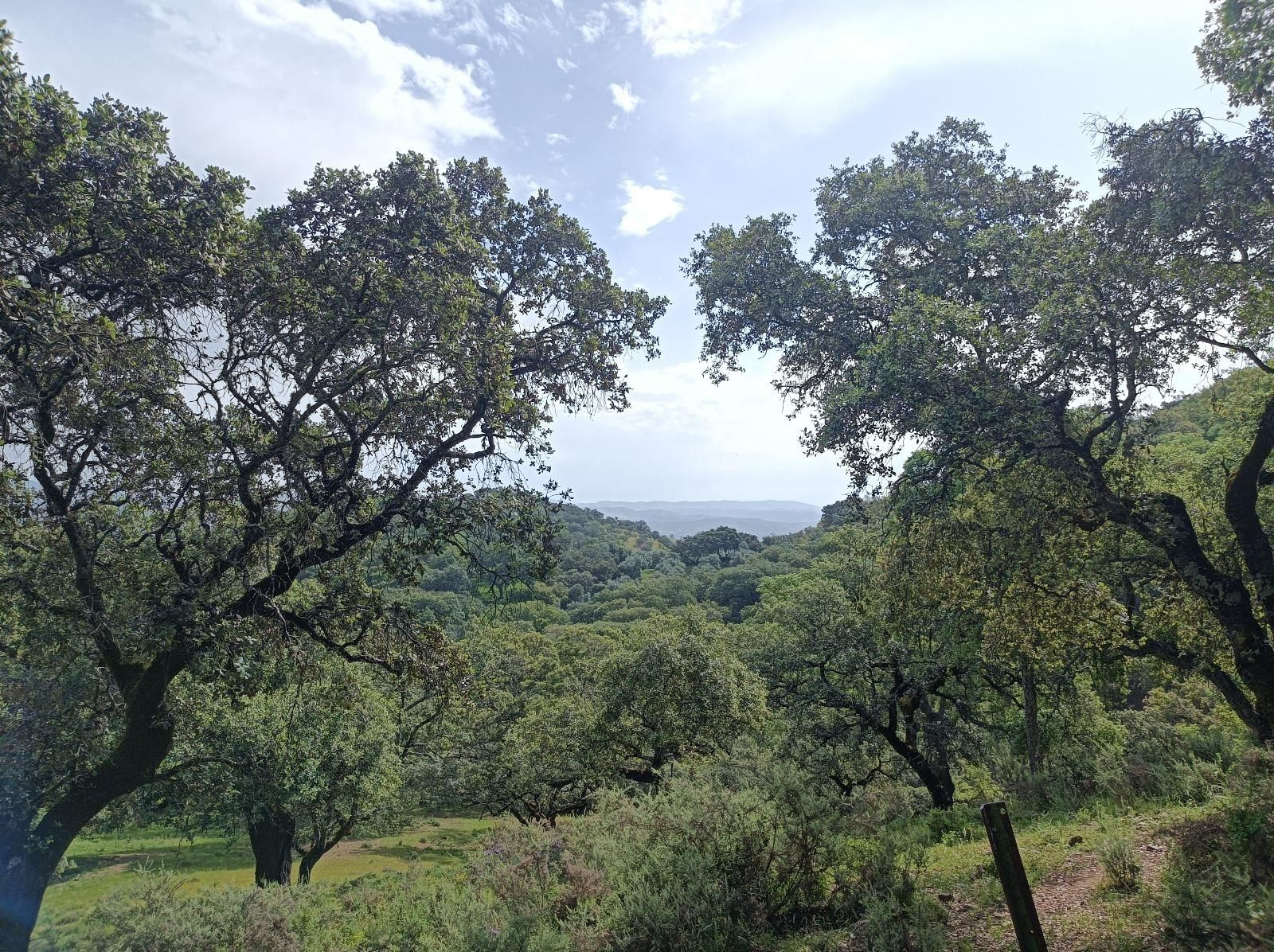Las fotos de la ruta circular entre Aracena y Corteconcepción