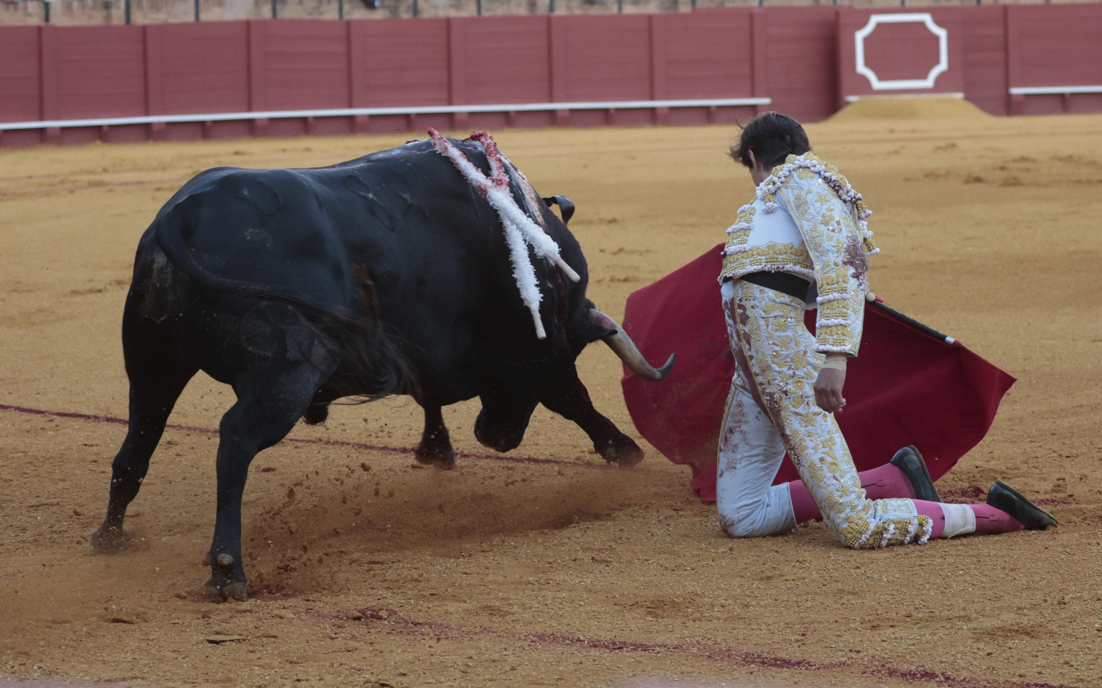 Las imágenes del primer festejo de San Miguel