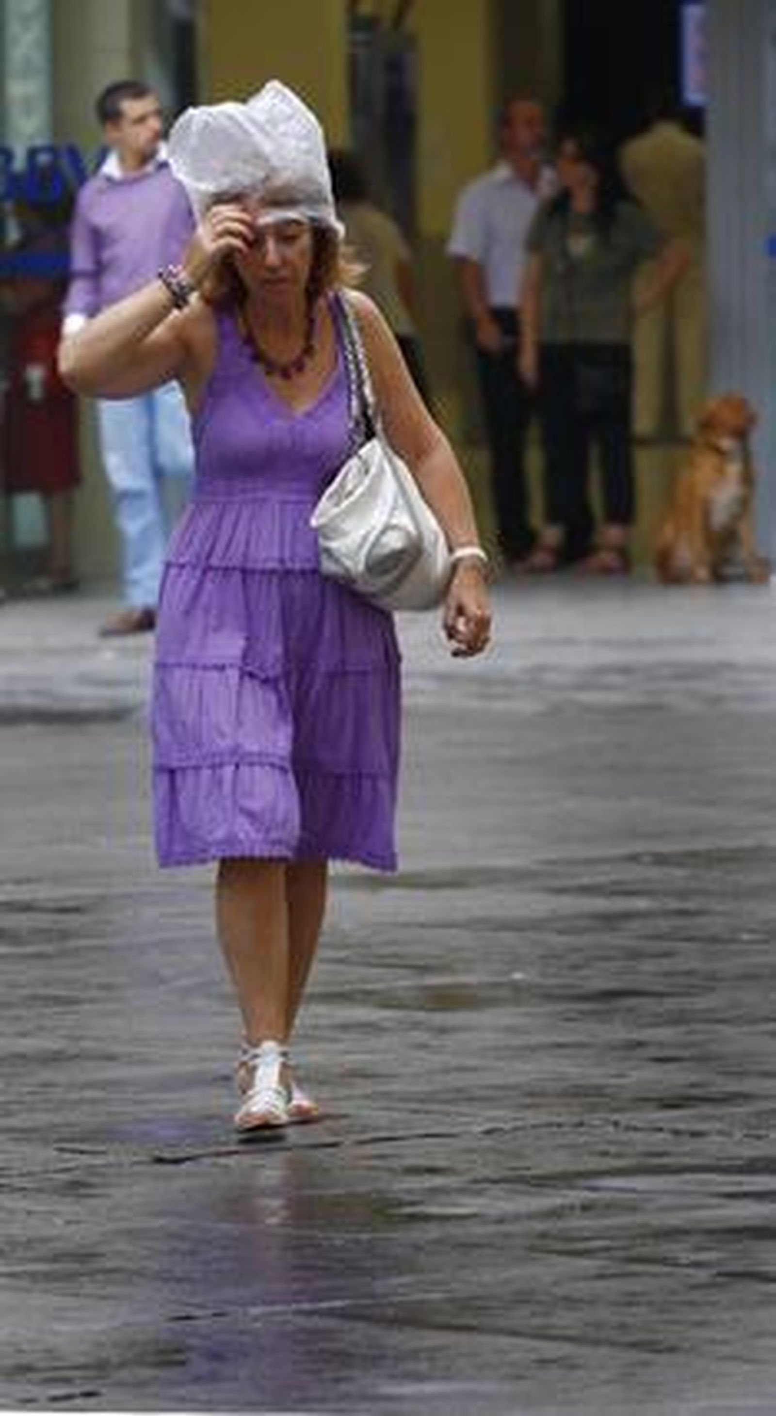 Las lluvias han acompañado a los sevillanos durante todo el día. 

Foto: Diario de Sevilla