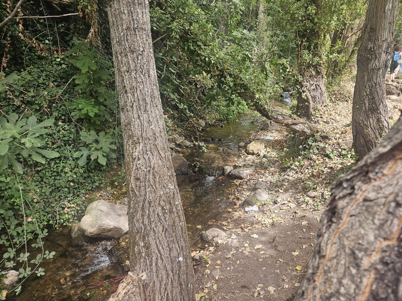 Así está en septiembre la preciosa cascada que puedes ver en Jaén