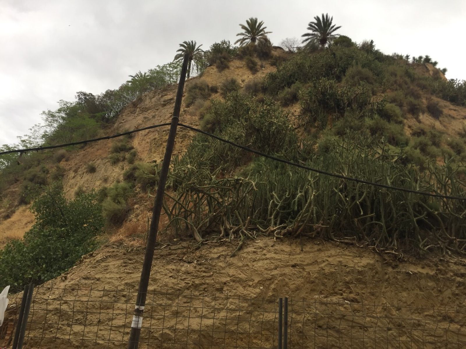 El cabezo del castillo desde la calle Aragón.