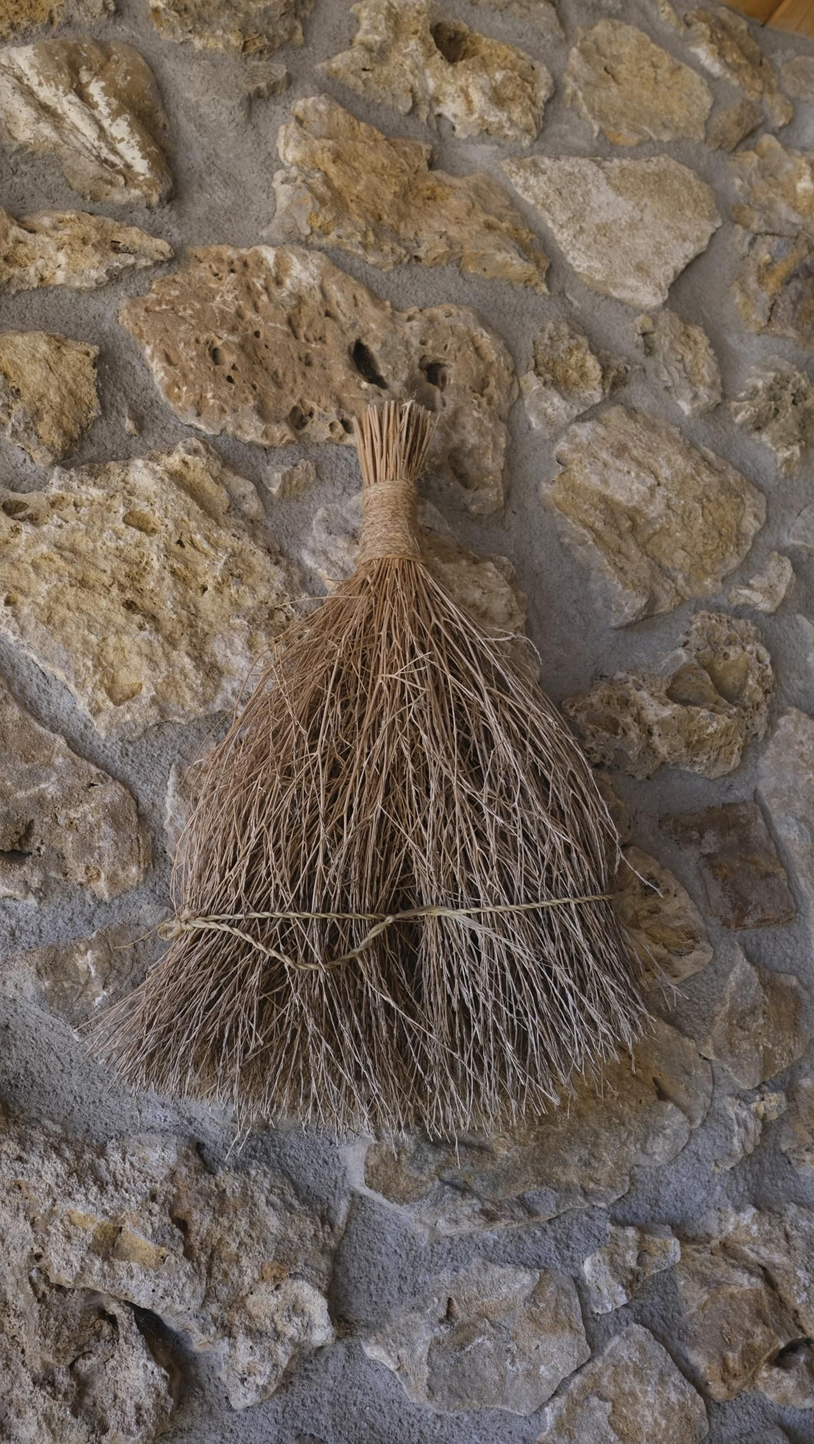 La trufa negra, el tesoro oculto de Laujar, en imágenes