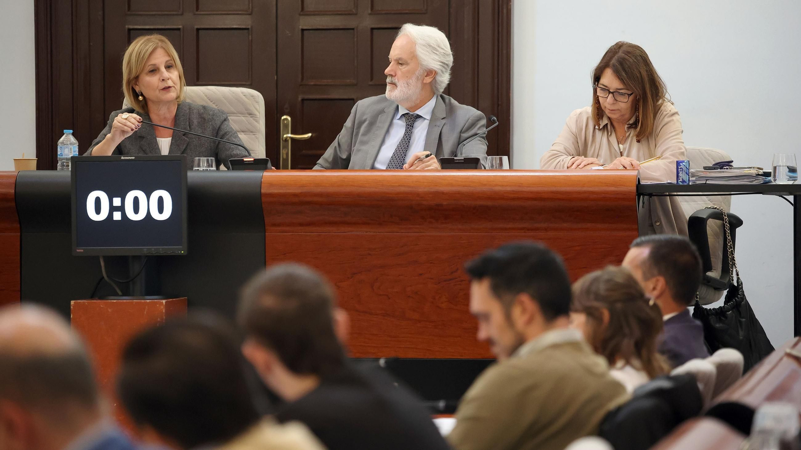 La alcaldesa, durante un pleno celebrado semanas atrás.