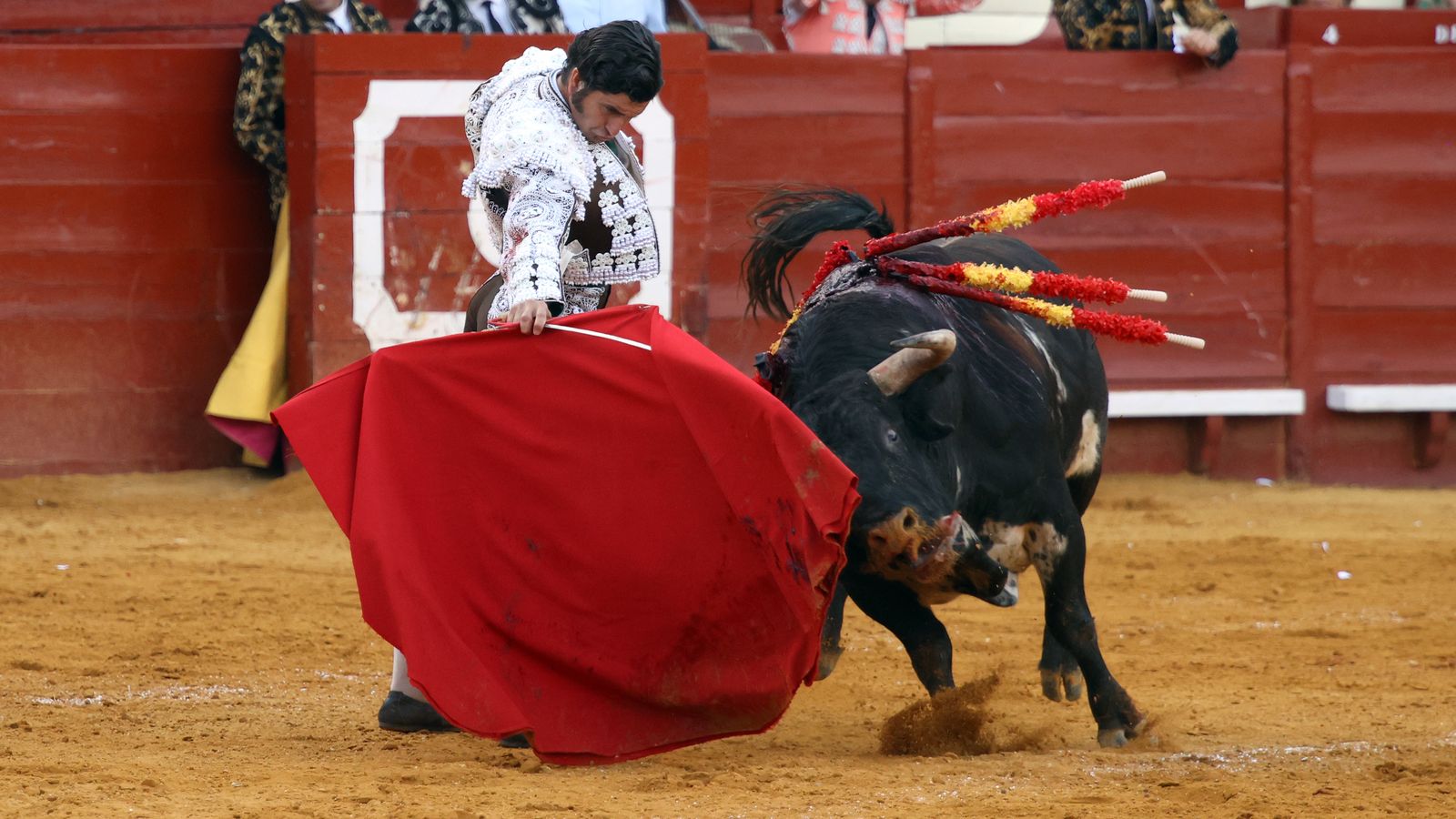 Tercera tarde de toros y última de la Feria de Jerez con Morante, Juan Ortega y Roca Rey